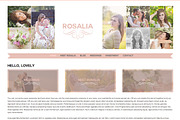 Rosalia Responsive Wordpress Theme, a WordPress Template by Color Splash Studio (Thumbnail 3 of 5)