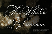 Van Marigella | Classic Calligraphy, a Script Font by Denustudios (Thumbnail 4 of 12)