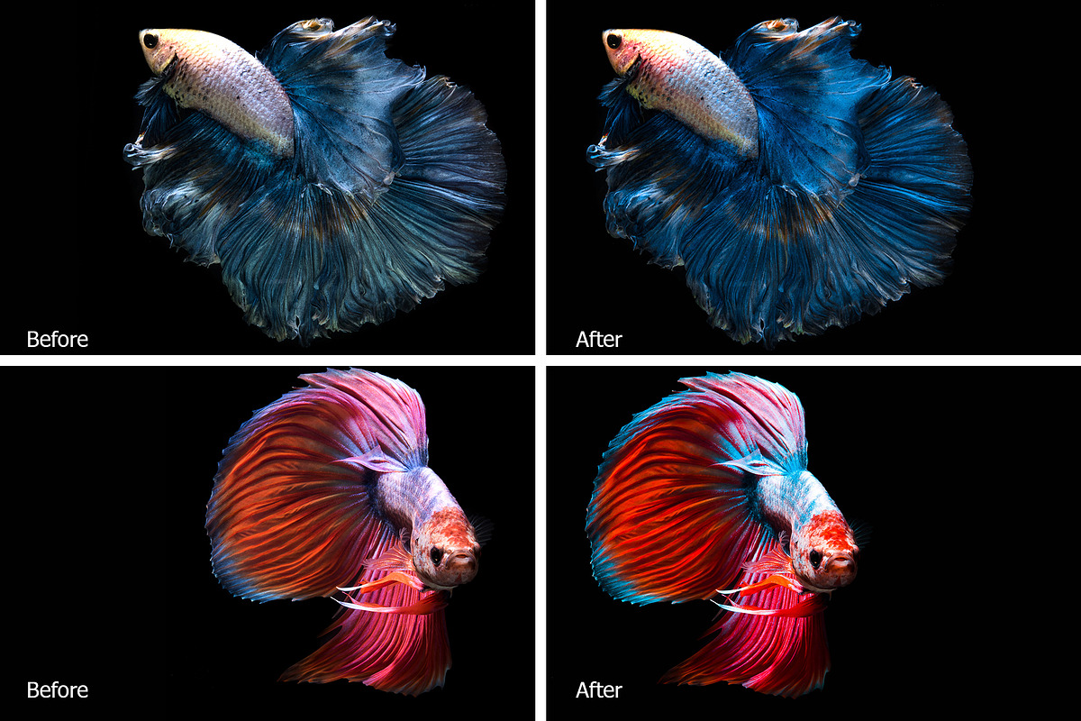 Betta Fish Lr Presets, an Action Add-On by PandoraDreams (Photo 3 of 4)