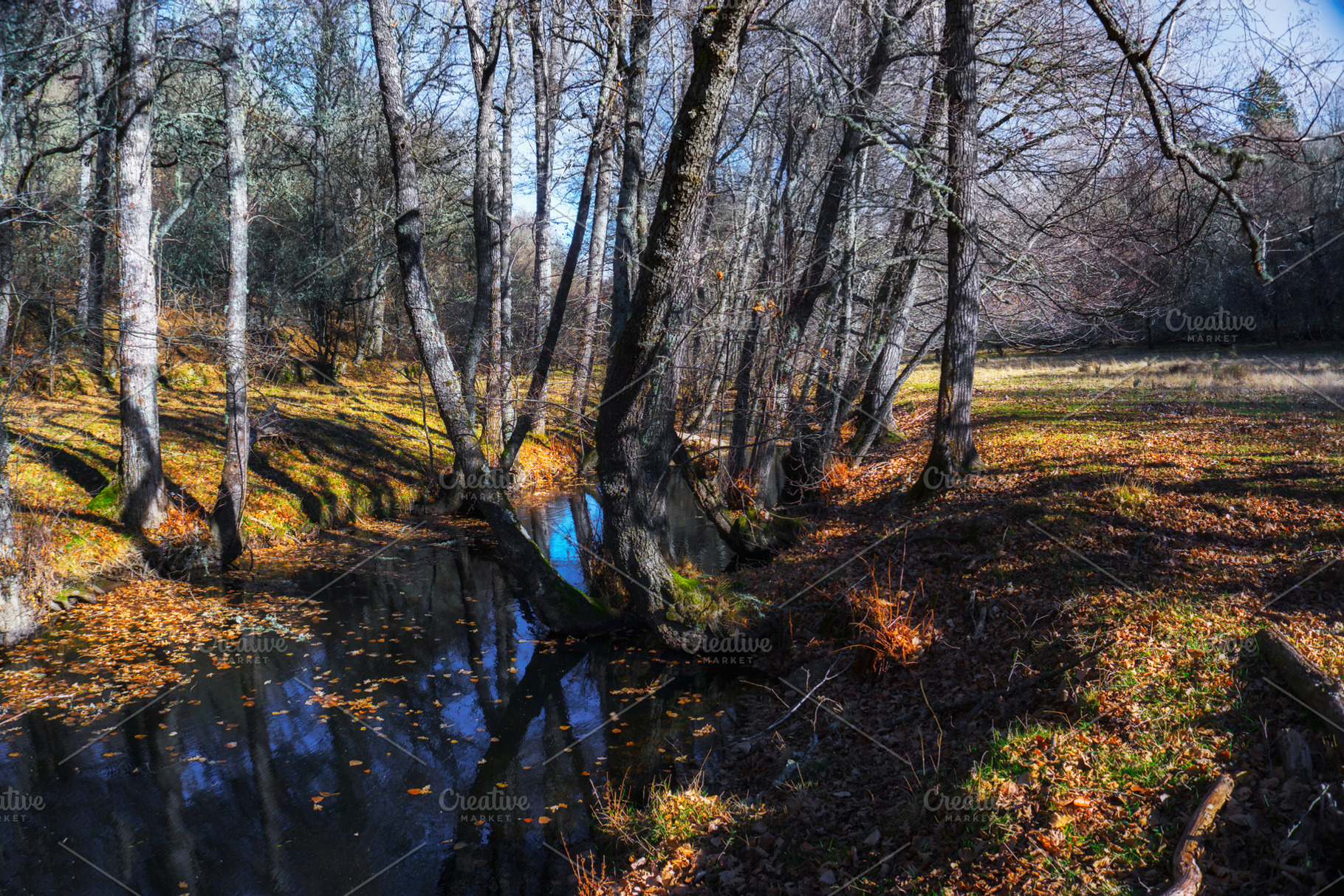Wild River landscape. Sanabria,Spain, a Nature Photo by Shootdiem