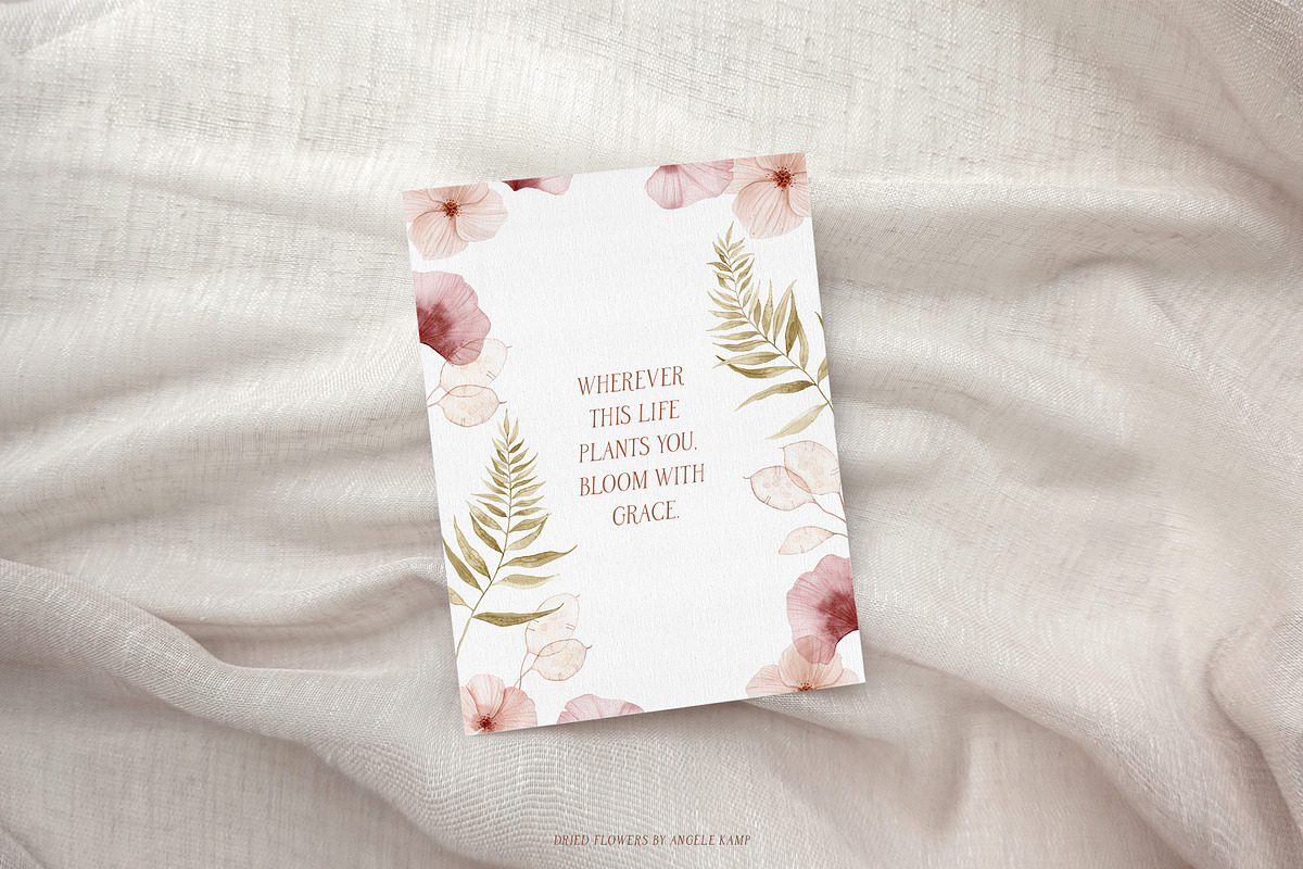 Dried flowers watercolor graphics, an Illustration by Angele Kamp (Photo 7 of 10)
