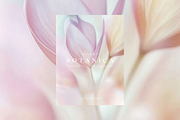 Aesthetic Blurry Floral Backgrounds, a Background Graphic by Altea Design Studio (Thumbnail 11 of 14)