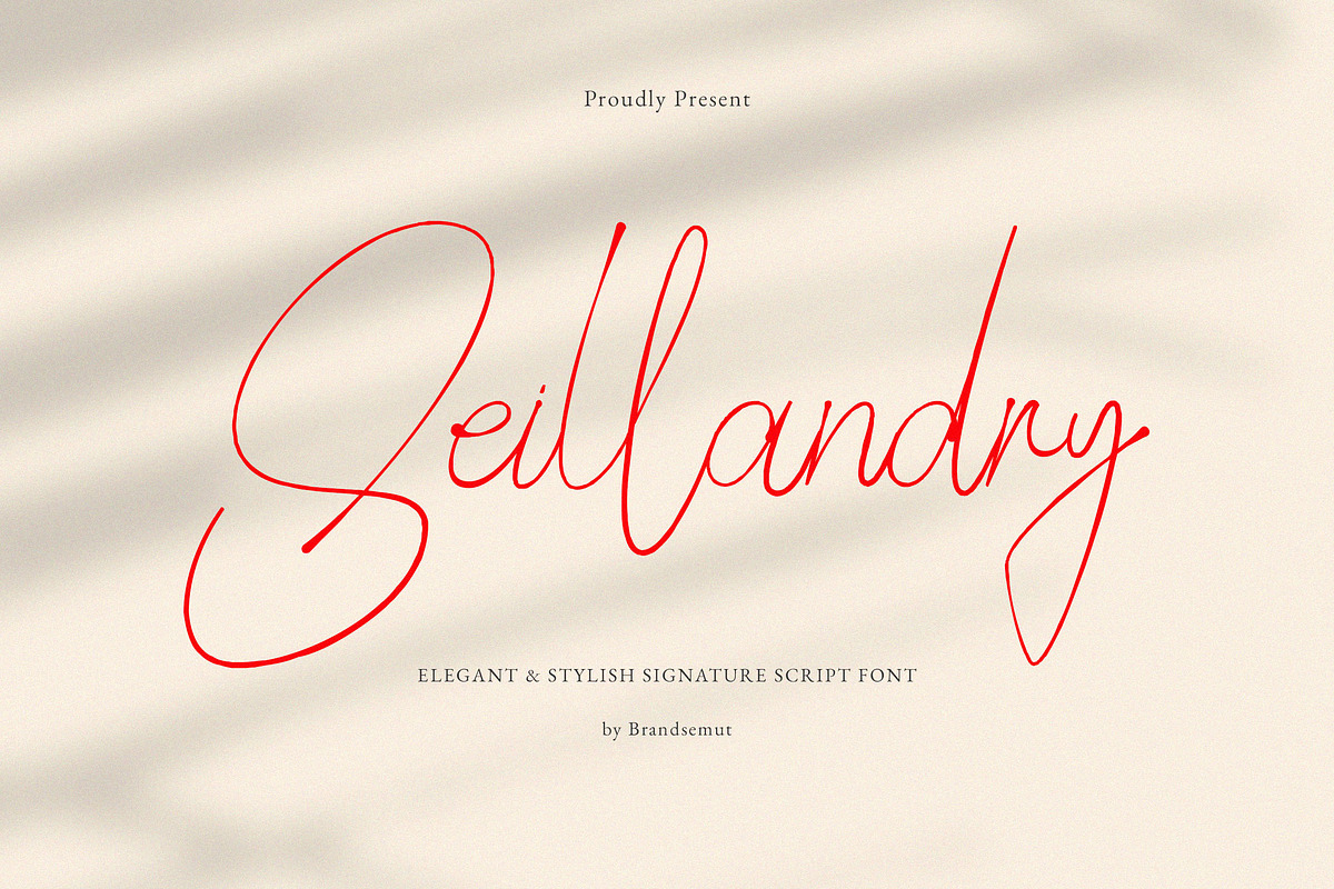 Seillandry Modern Elegant Signature, a Handwritten Font by BrandSemut (Photo 1 of 10)