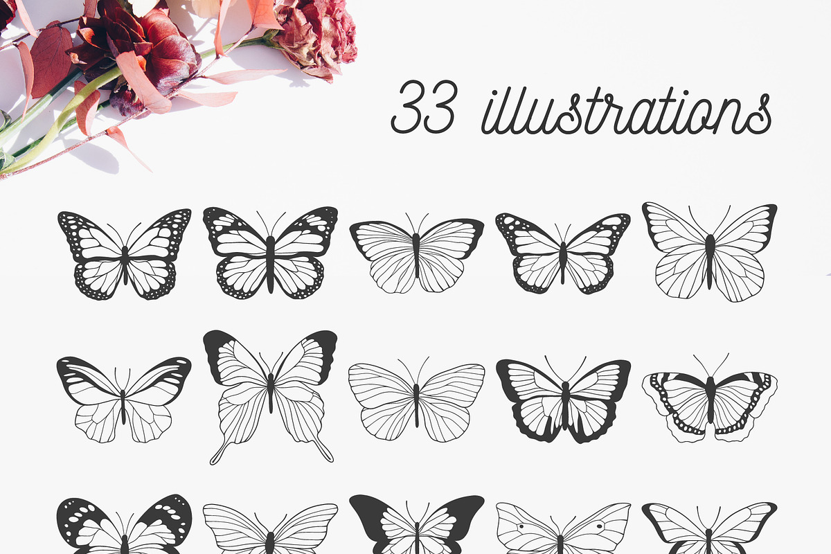 Butterfly | Vector illustrations, an Object Illustration by Wander Designs (Photo 6 of 7)