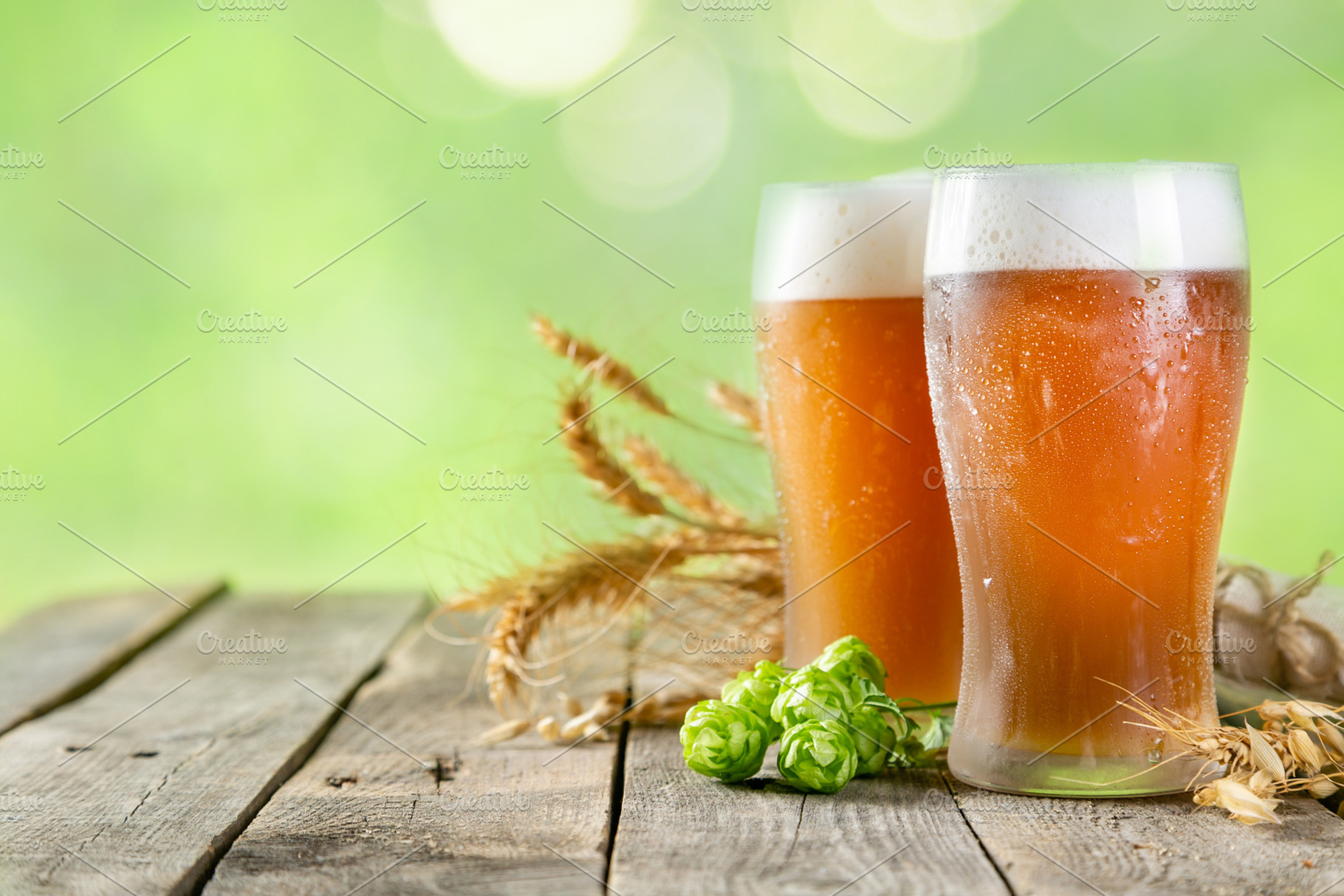 Beer and ingredients hops wheat containing beer, hops, and background, a Nature Photo by NaumenkoOS