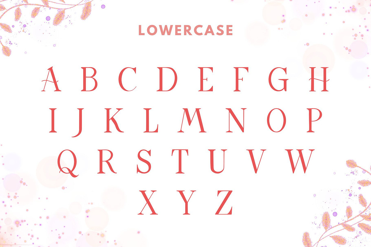 Ravina Monogram Font, a Symbol Font by AnningArts (Photo 6 of 7)
