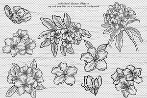 Rhododendron Line Art Clipart