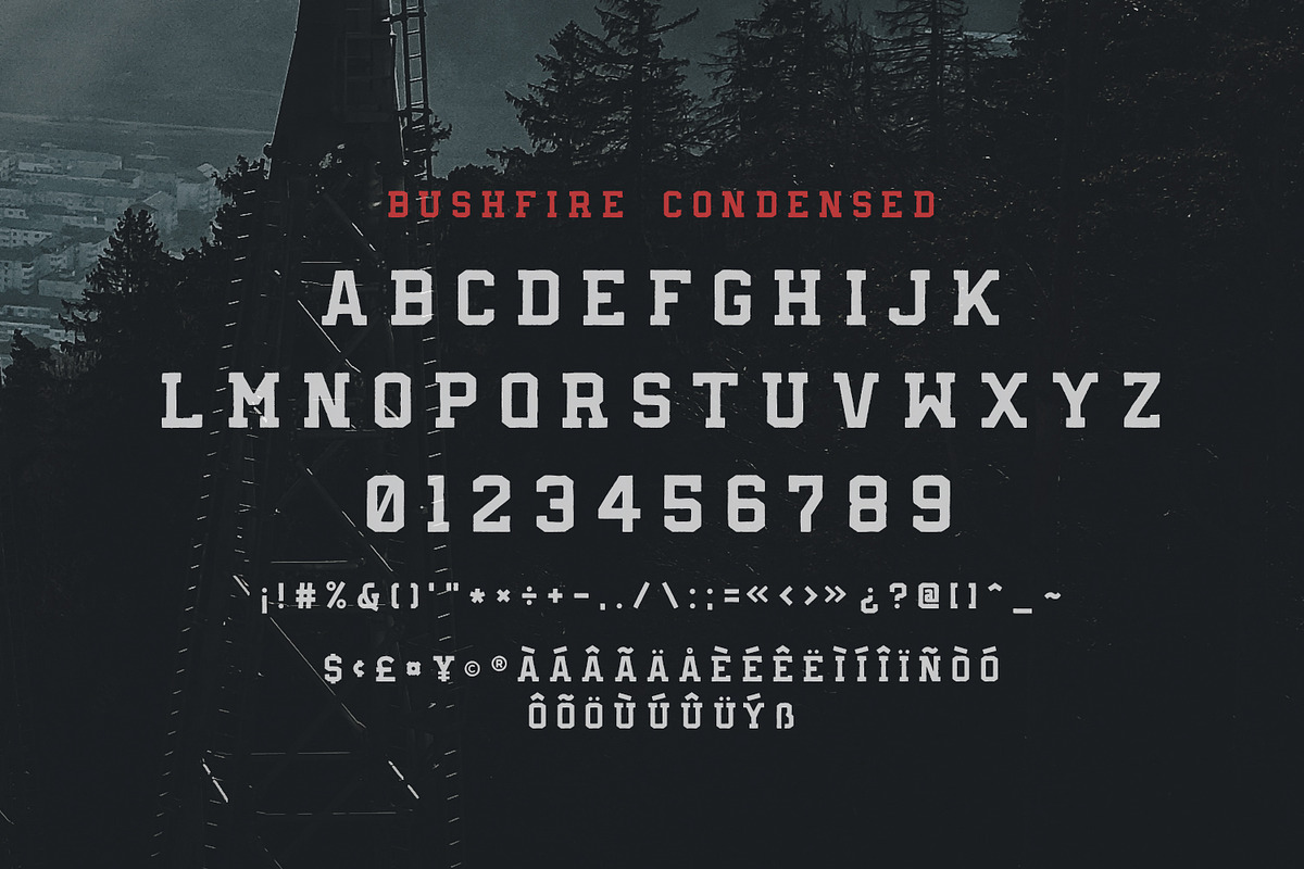 Bushfire - 4 Font Family preview 8