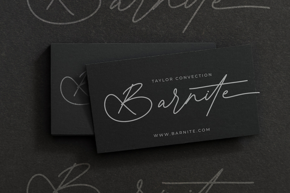 Antique Prestig Stylish Signature, a Script Font by stylishtype.co (Photo 8 of 20)