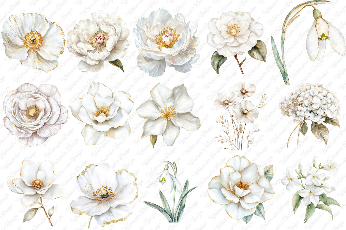 White Floral Clipart, an Illustration by Watercolor design (Photo 2 of 12)