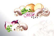 Mushrooms. Watercolor collection, a Food Illustration by Daria Ustiugova (Thumbnail 6 of 7)