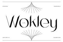 CS Wokley – Modern Sans Serif
