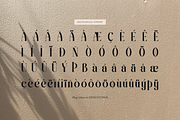 Bling Gilinira | Display Serif Font, a Serif Font by Denustudios (Thumbnail 14 of 15)