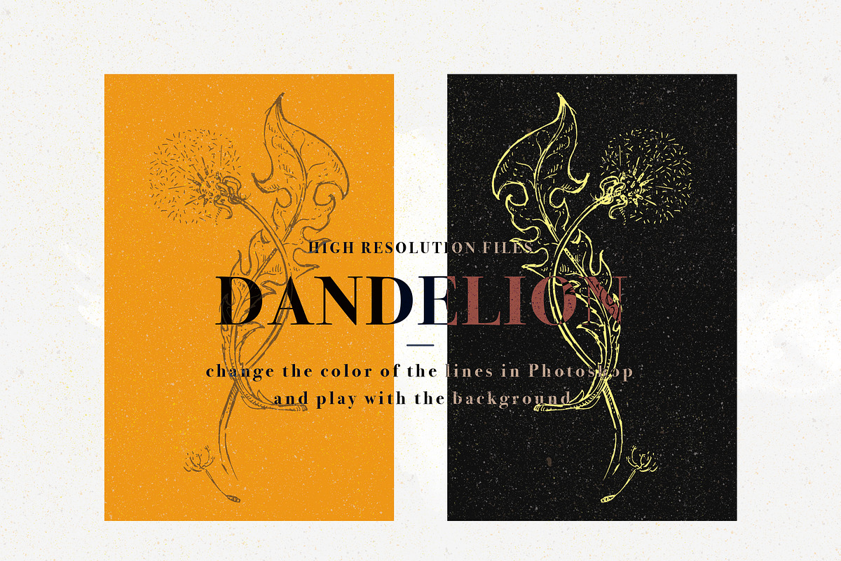 Dandelion set of 14 pen sketches, an Illustration by Bee_in_a_Nest (Photo 3 of 4)