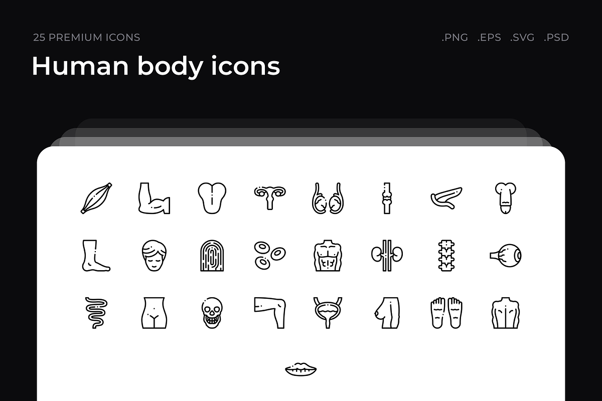Human body icons, an Outline Icon by Wencory