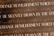 Malenthos Modern Font Duo, a Serif Font by Storytype Studio (Thumbnail 6 of 15)