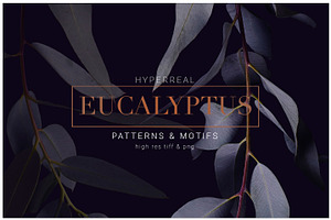 Eucalyptus, Luxe Prints & Elements!