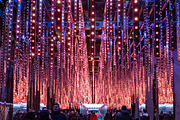 New York City Winter Photos, a Holiday Photo by Full Circle Design Studio (Thumbnail 7 of 14)