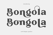 Bongola | Serif Display Font, a Serif Font by RT Studio (Thumbnail 1 of 11)