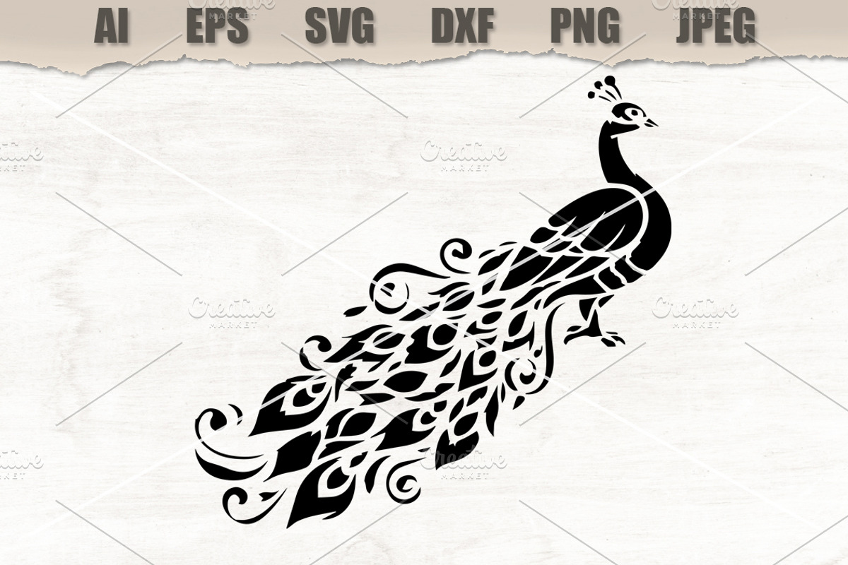 Stencil Peacock, a Decorative Illustration by MARYCRAFTIRIA (Photo 1 of 3)