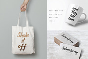 Salmonberry, a Script Font by Fontdation (Thumbnail 4 of 4)