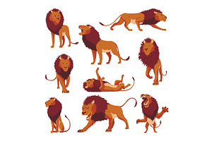 Proud powerful lion character in, a Texture Illustration by the8monkey