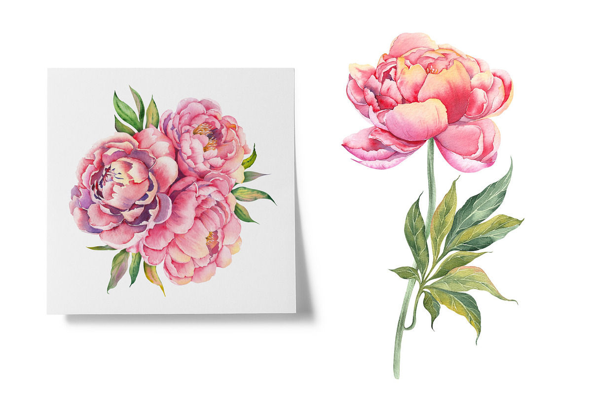 PEONY watercolor clip art & patterns, an Object Graphic by Jeanna Draw (Photo 5 of 15)