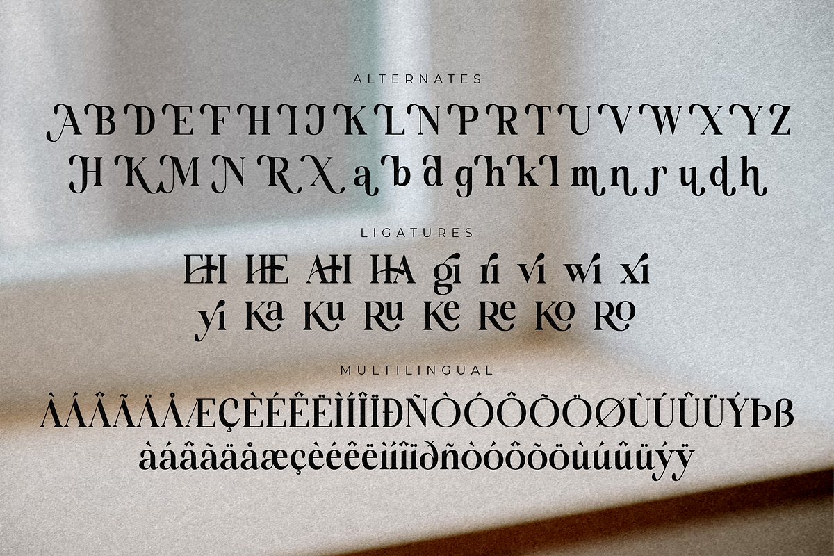 Molgiant Belliontera, a Serif Font by Storytype Studio (Photo 12 of 15)