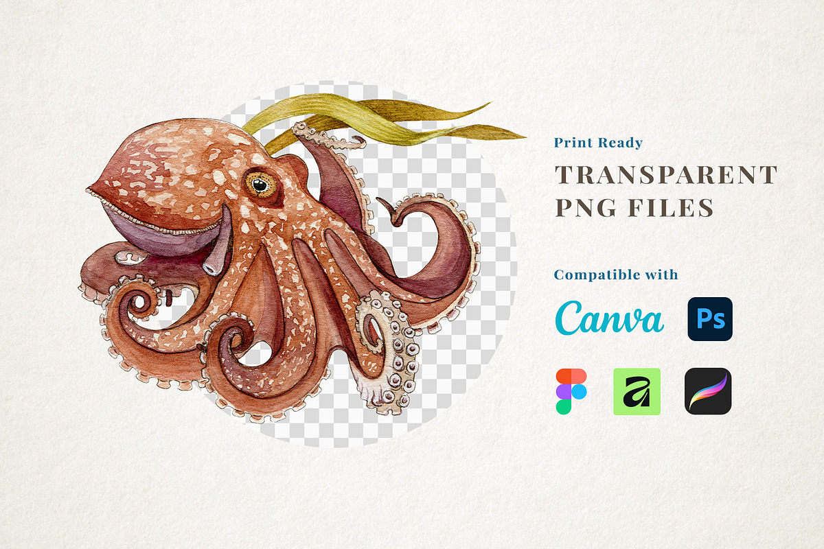 Sea Life Watercolor Clipart Set, an Animal Illustration by AnitaPol (Photo 4 of 16)