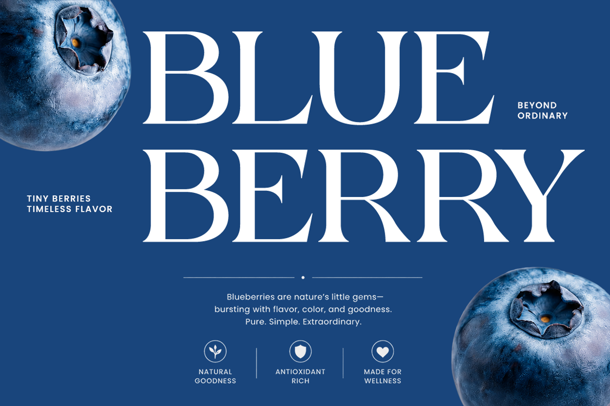 Bonrage Modern Elegant Serif Font, a Serif Font by Vadovastd (Photo 4 of 9)