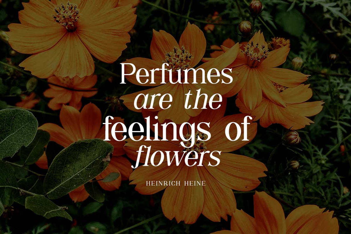 Shailey Morgance Elegant Serif Font, a Serif Font by UICreative (Photo 3 of 13)