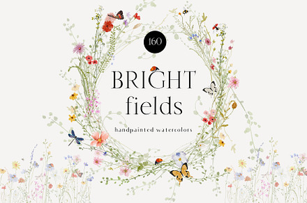 Watercolor Bright wildflowers set, a Decorative Illustration by Grace Noboa Illustrations