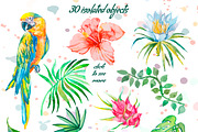Watercolor tropical set, an Illustration by Elizaveta (Thumbnail 3 of 4)