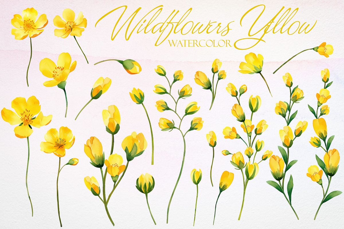 Watercolor Yellow Wildflowers Vector, a Pattern Graphic by Deckar_art (Photo 1 of 4)