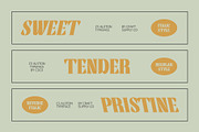 CS Alston – Bold Font, a Serif Font by Craft Supply Co. (Thumbnail 3 of 8)