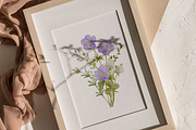 Watercolor Summer Wildflowers, an Illustration by polikarpovaart (Thumbnail 4 of 16)