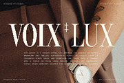 The Silver Editorial Pixel Version, a Serif Font by SilverStag Type Foundry (Thumbnail 4 of 20)