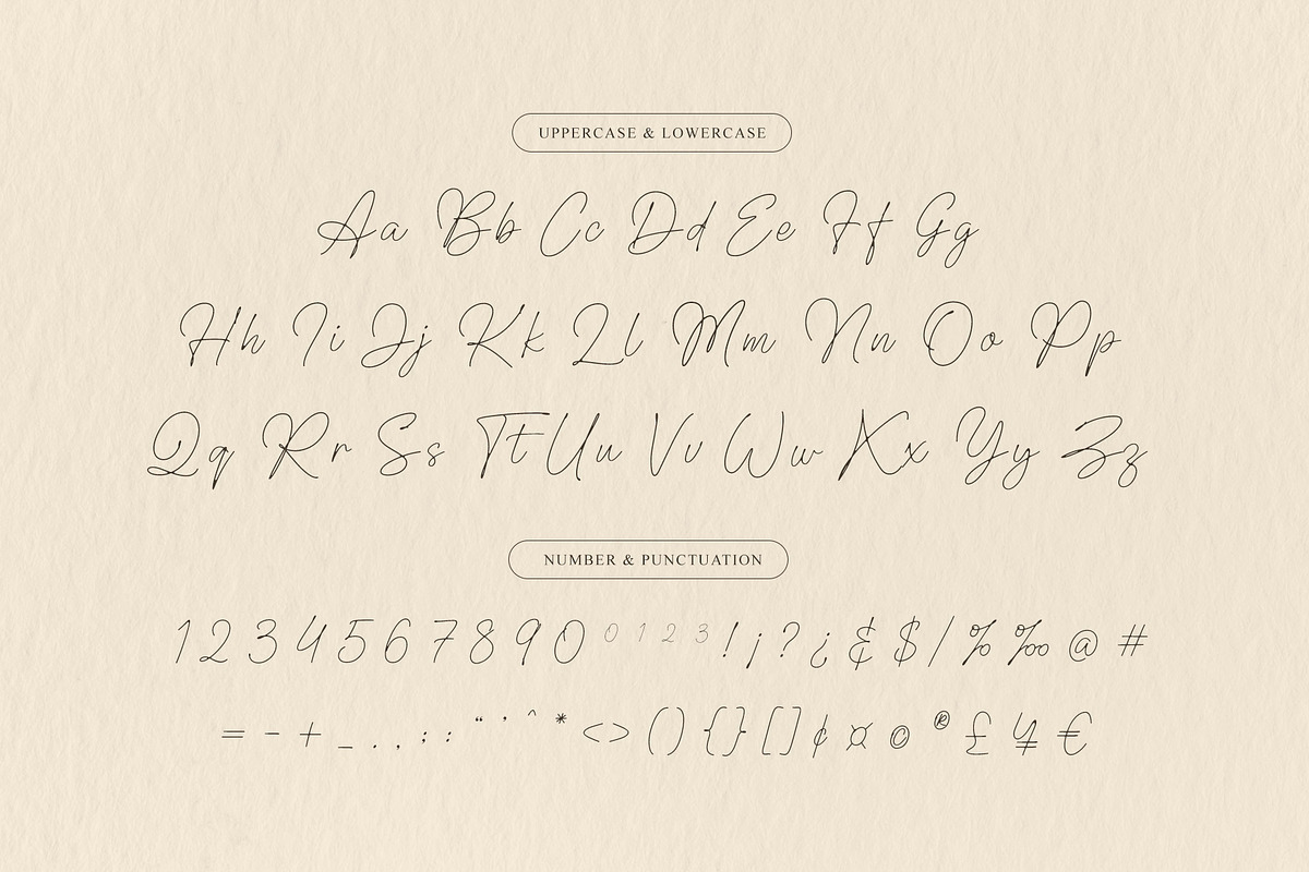 Hollywood Secret Script, a Script Font by Krismagraph (Photo 8 of 10)