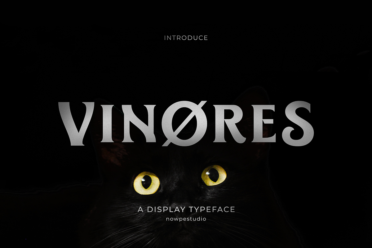 Vinores Typeface, a Serif Font by Nowpe Studio (Photo 1 of 7)