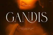 Gandis Elegant Serif Font