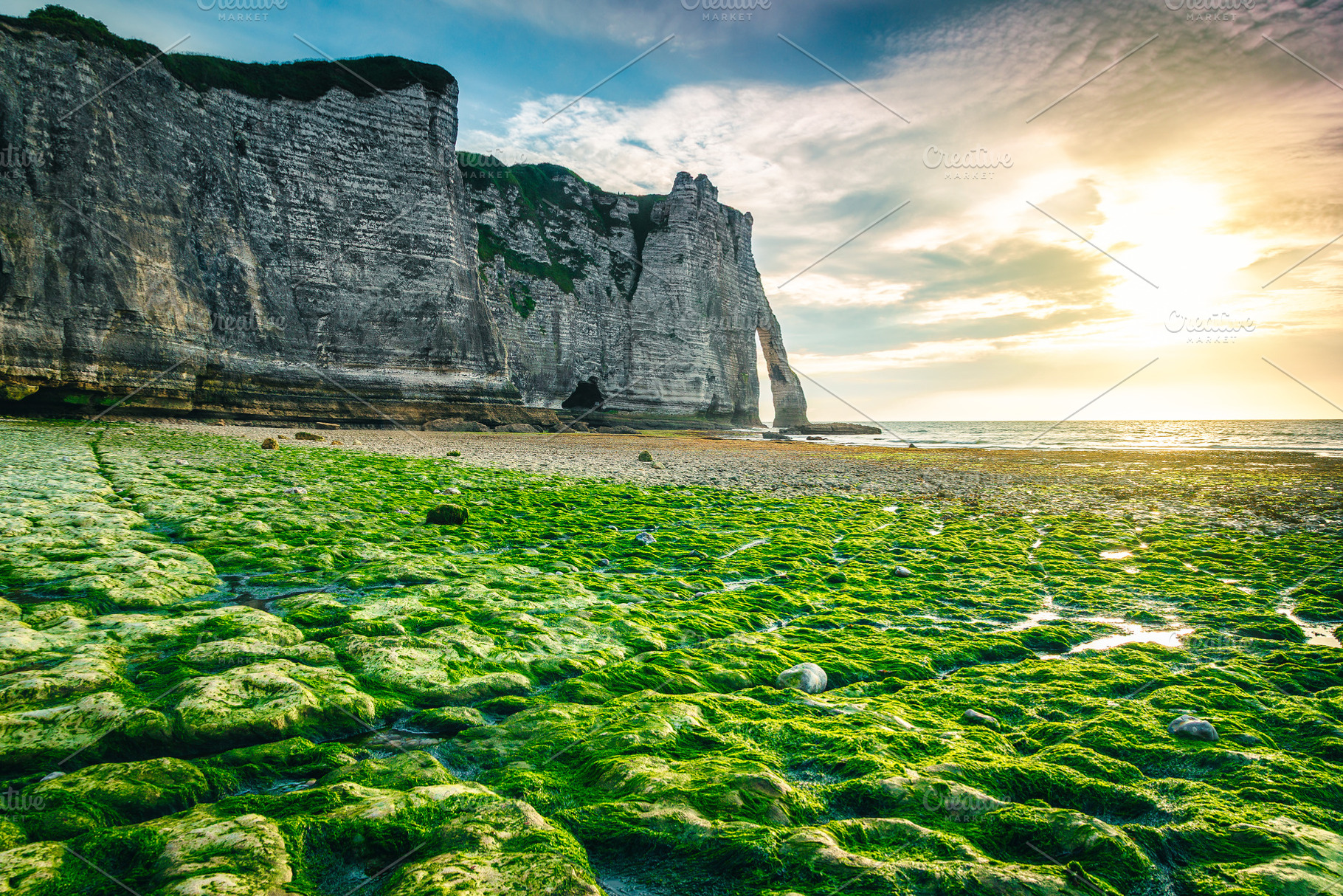 Magnificent mossy beach, a Nature Photo by Alpine Dreams