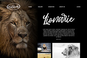 Hillbear - Handbrush Script Font, a Script Font by StringLabs (Thumbnail 7 of 7)