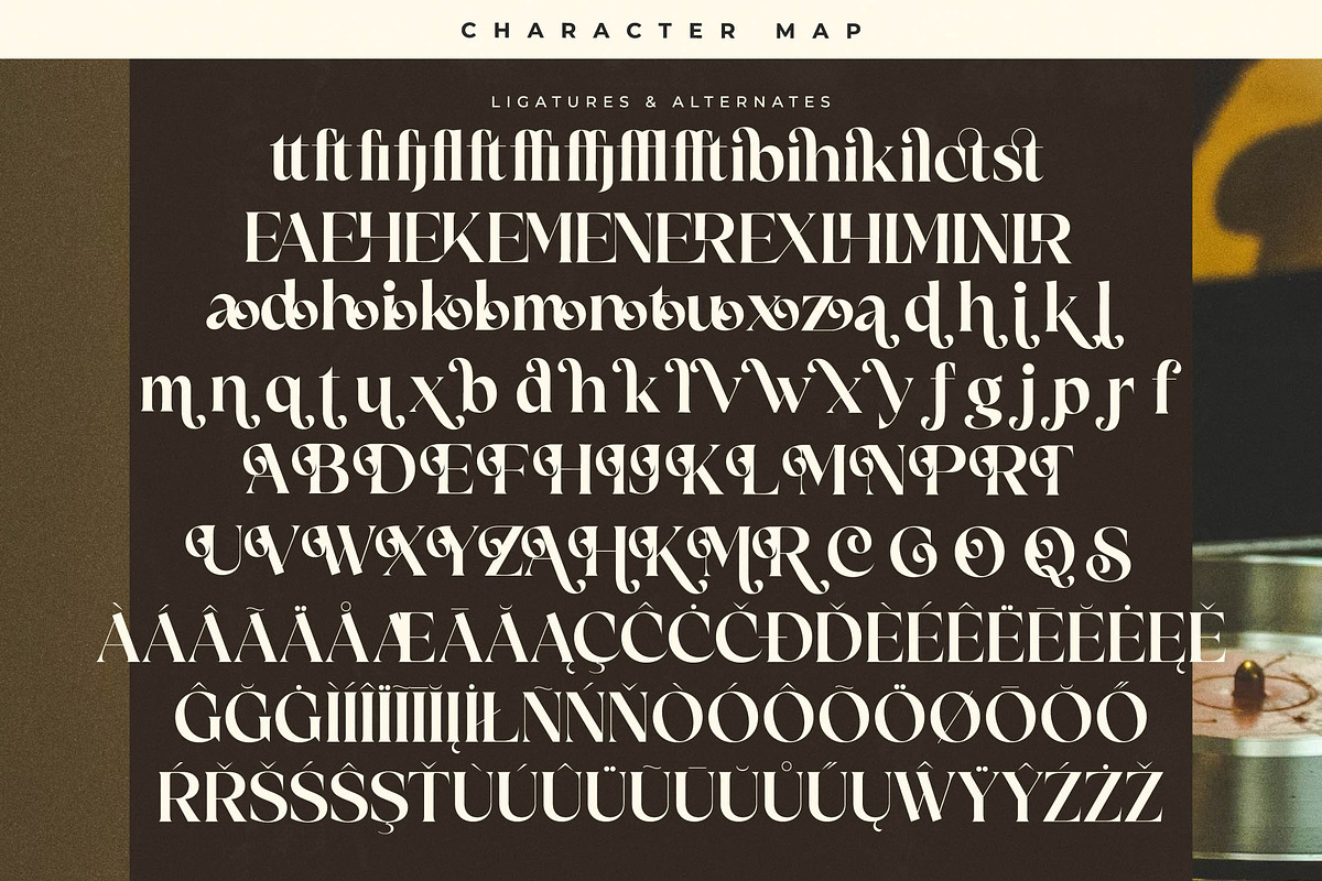 Victoria Culture Modern Serif, a Serif Font by timelesstype.co (Photo 19 of 20)