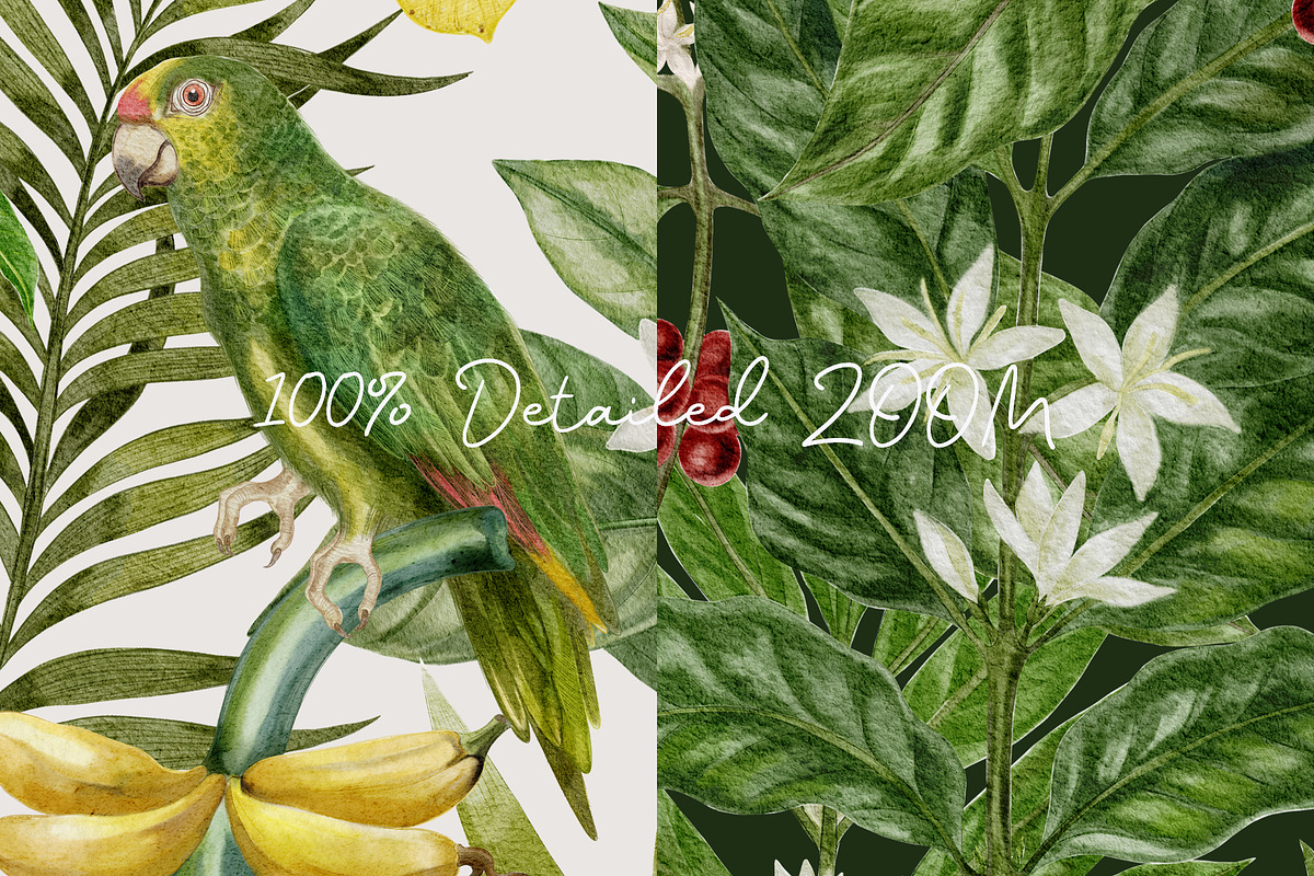 Tropical Botanical Seamless Pattern, a Pattern Graphic by mila_leev (Photo 6 of 8)