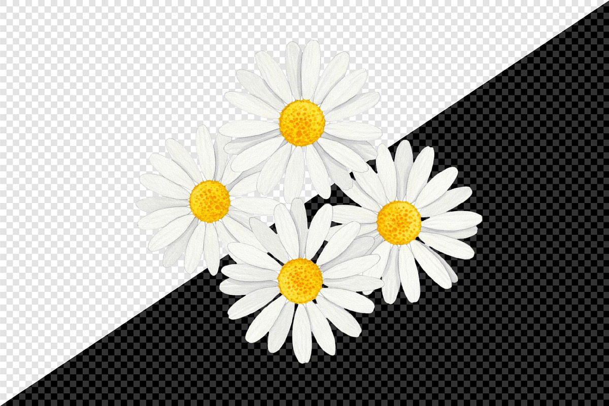 Daisy Flower Watercolor Clipart, an Illustration by Creative Art (Photo 6 of 7)