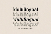 Jackal Holiday - Stylish Serif Font, a Serif Font by Aqeel_Art (Thumbnail 9 of 10)