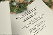 Magnolia Tree Rustic Font, a Serif Font by Beck McCormick (Thumbnail 10 of 10)
