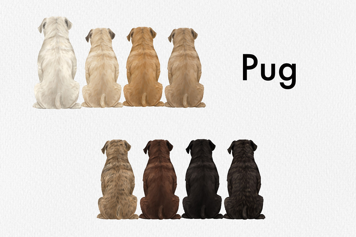 Watercolor Small Dog Breeds, an Animal Illustration by ColorfulPT (Photo 2 of 8)