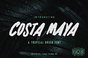 Costa Maya - Tropical Brush Font, a Script Font by Visual Blends (Thumbnail 1 of 6)