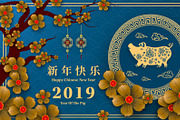 set of 2019 Chinese New Year card, a Card Template by Max vector (Thumbnail 16 of 16)